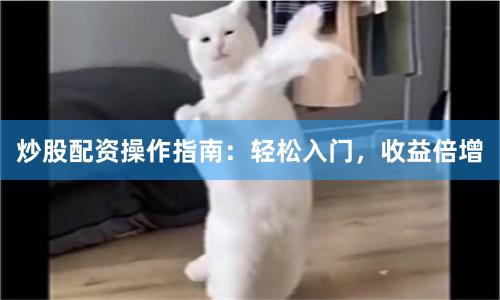 炒股配资操作指南：轻松入门，收益倍增