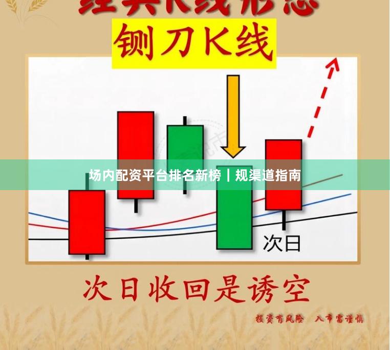 场内配资平台排名新榜|规渠道指南