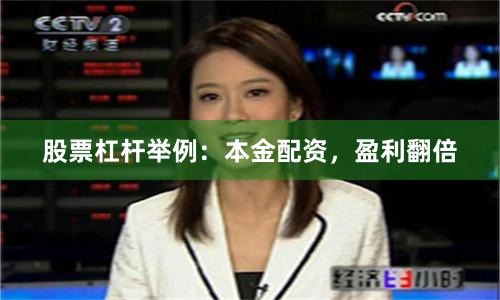 股票杠杆举例：本金配资，盈利翻倍